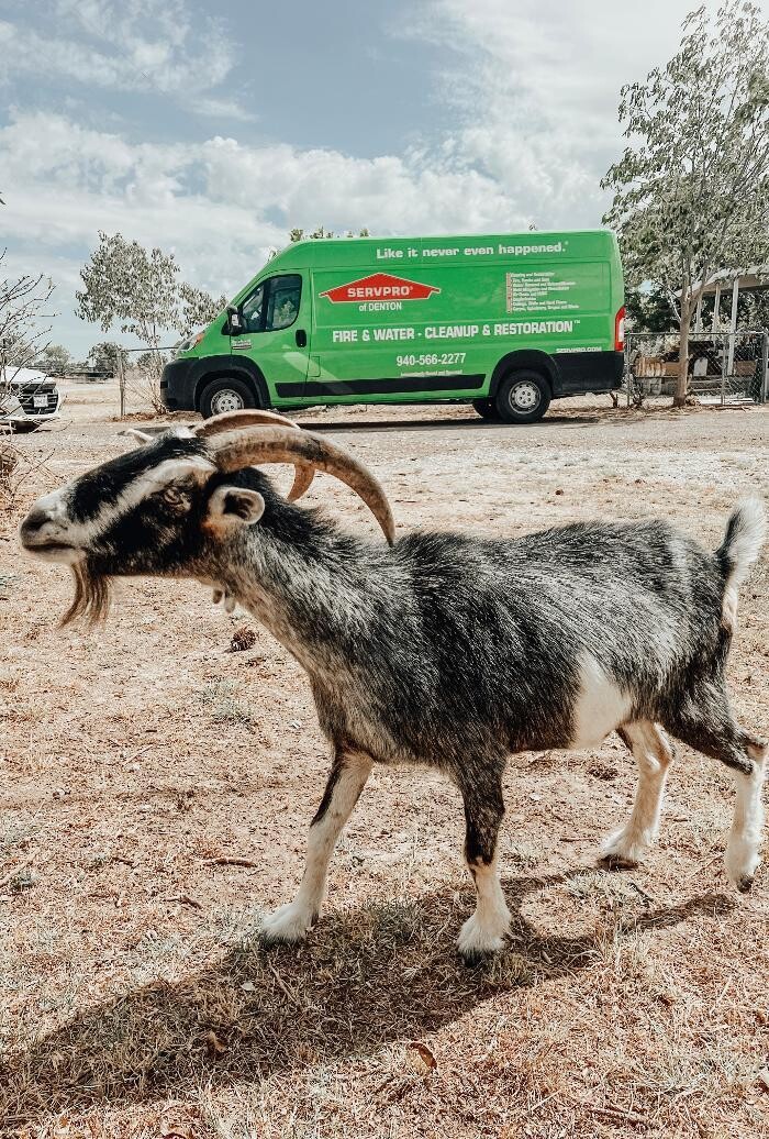 Images SERVPRO of Denton