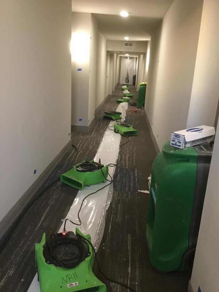 Images SERVPRO of Denton