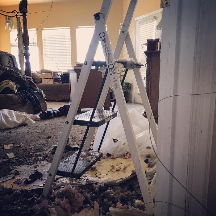 Images SERVPRO of Denton