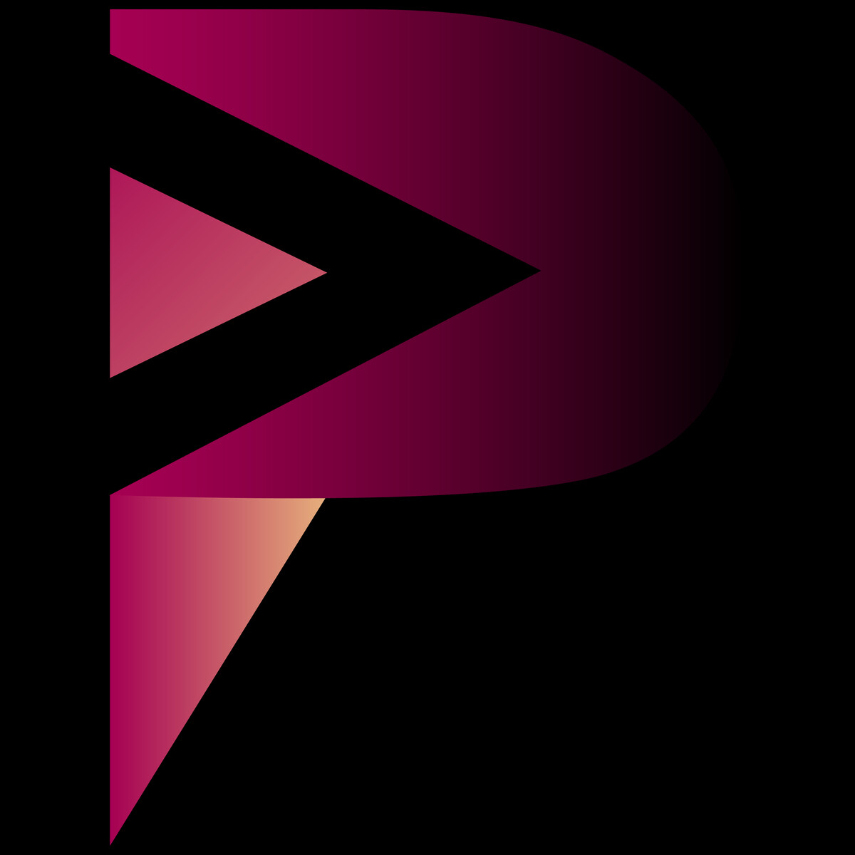 Padula Media | Digital Marketing Logo