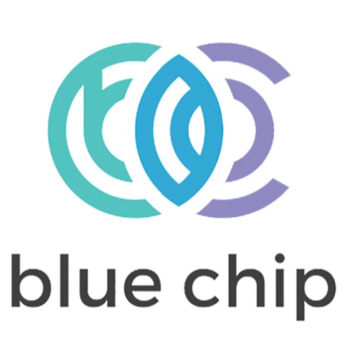 Blue Chip Foundation Logo