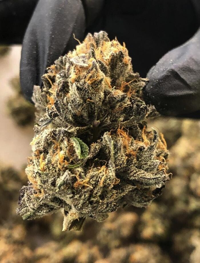 Images House of Dankness Dispensary