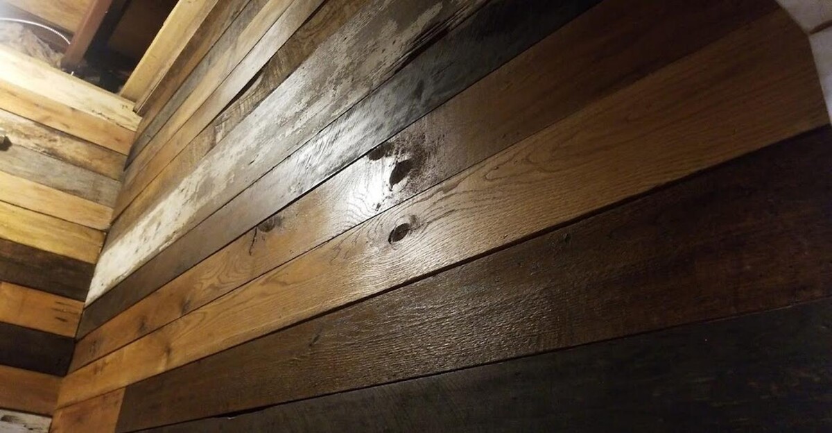 Images Rising Fast Enterprises llc