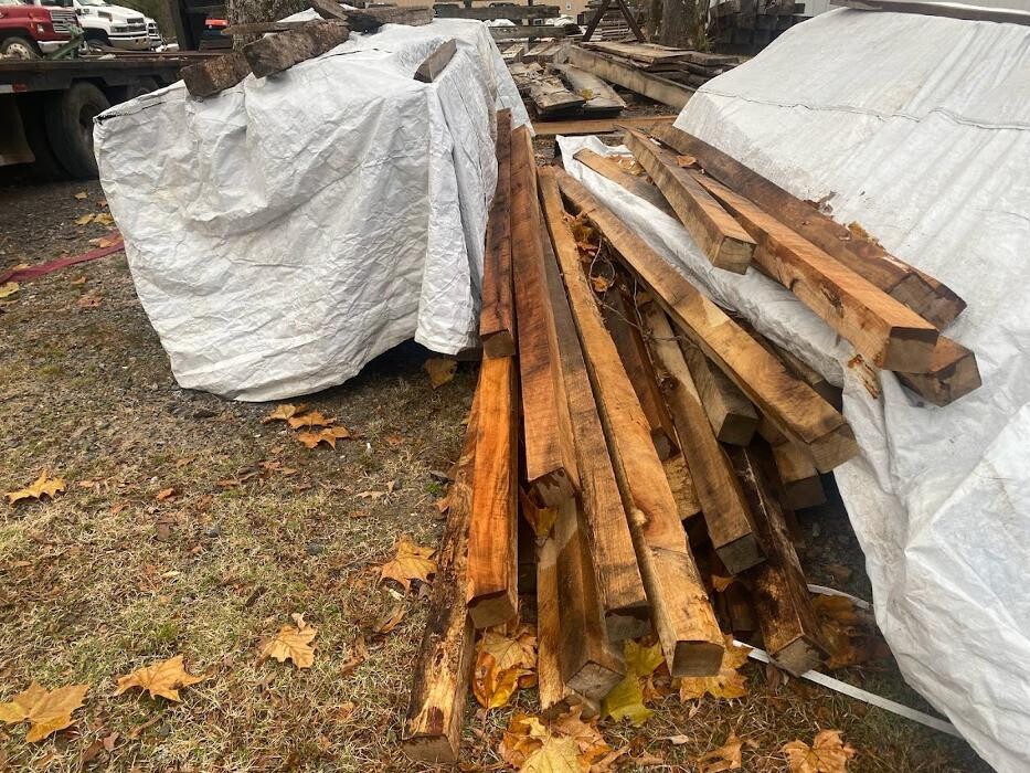 Images Rising Fast Enterprises llc