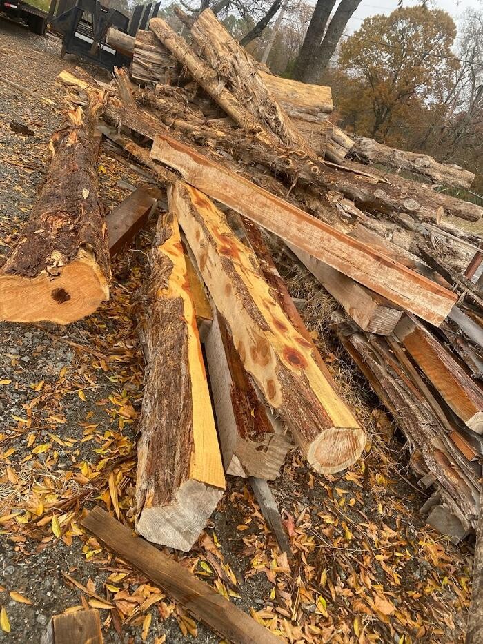 Images Rising Fast Enterprises llc