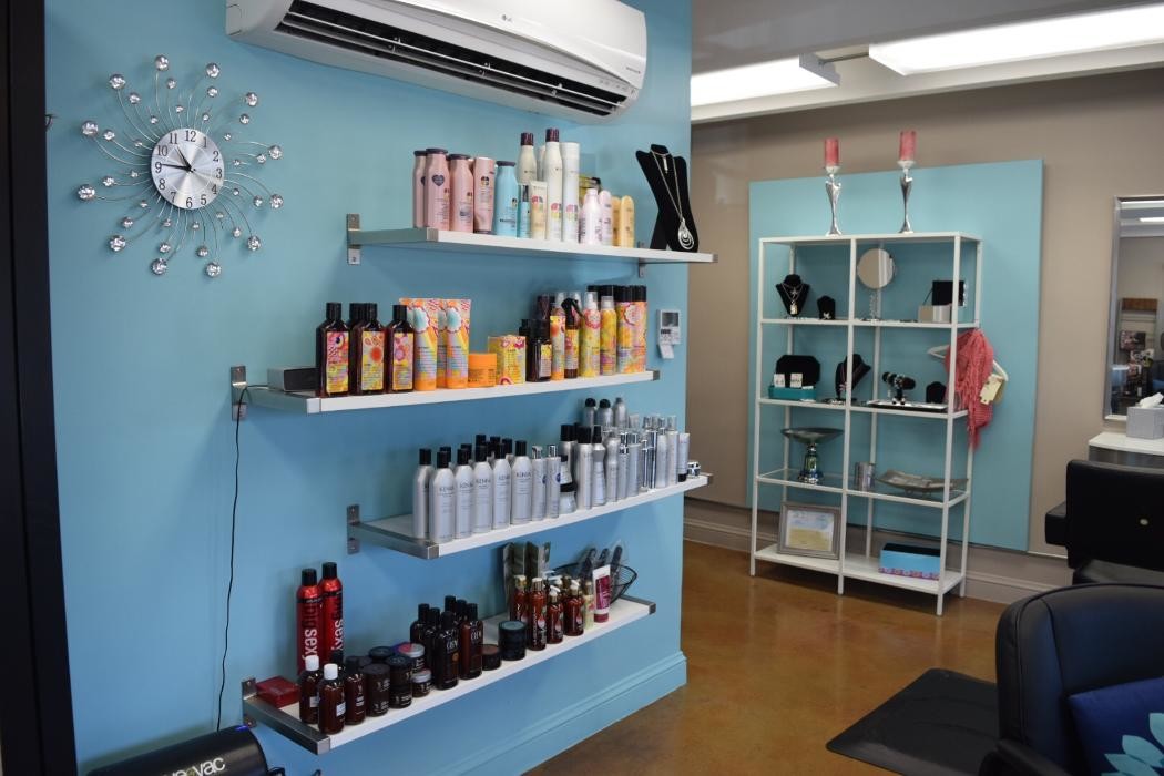 Images Salon Onze