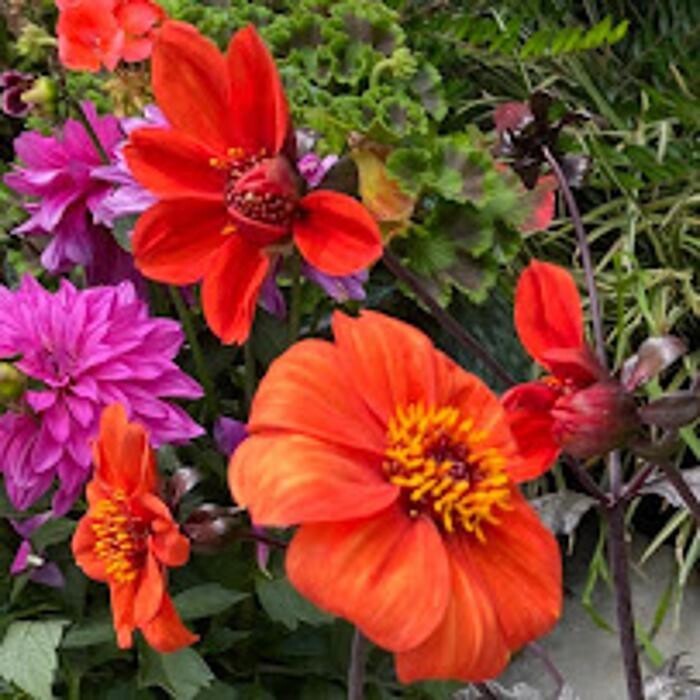 Images Mickey's Lawnscapes Inc