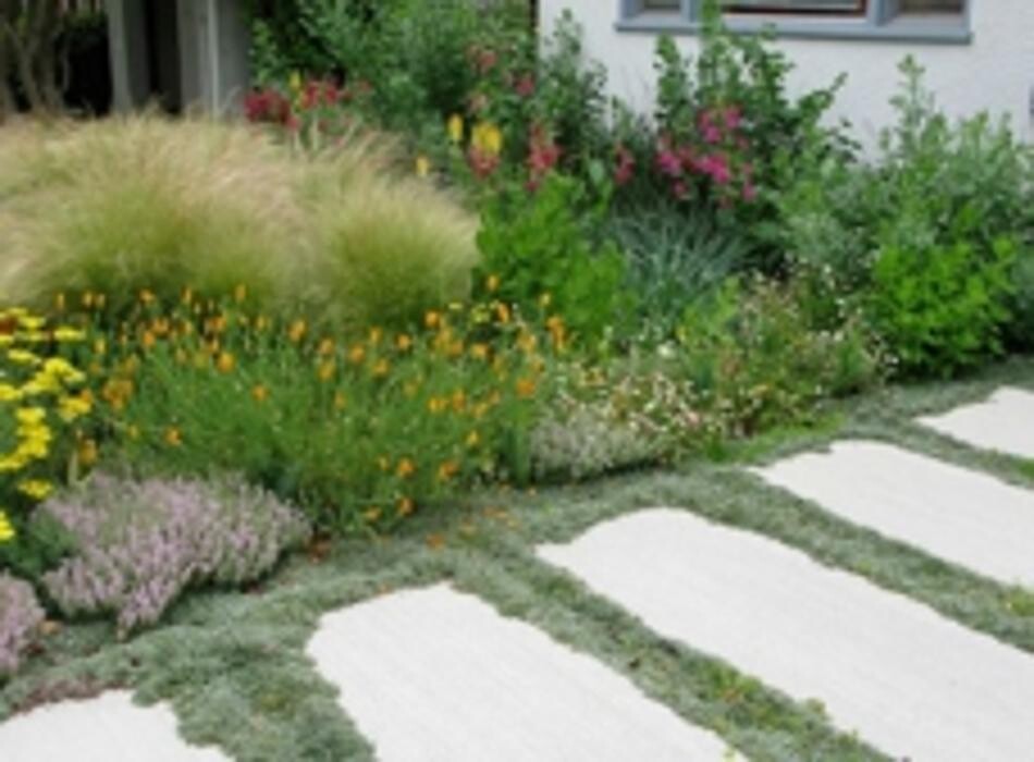 Images Mickey's Lawnscapes Inc