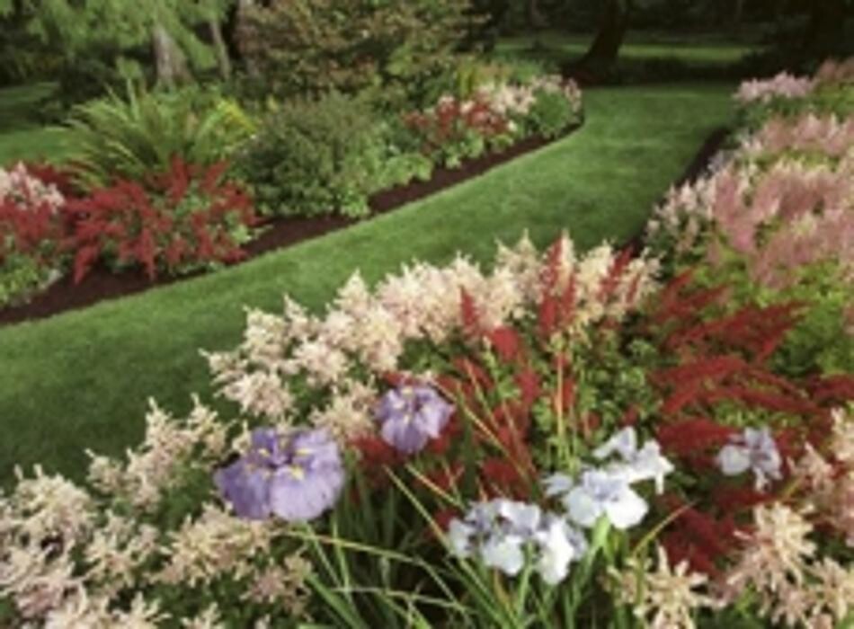 Images Mickey's Lawnscapes Inc