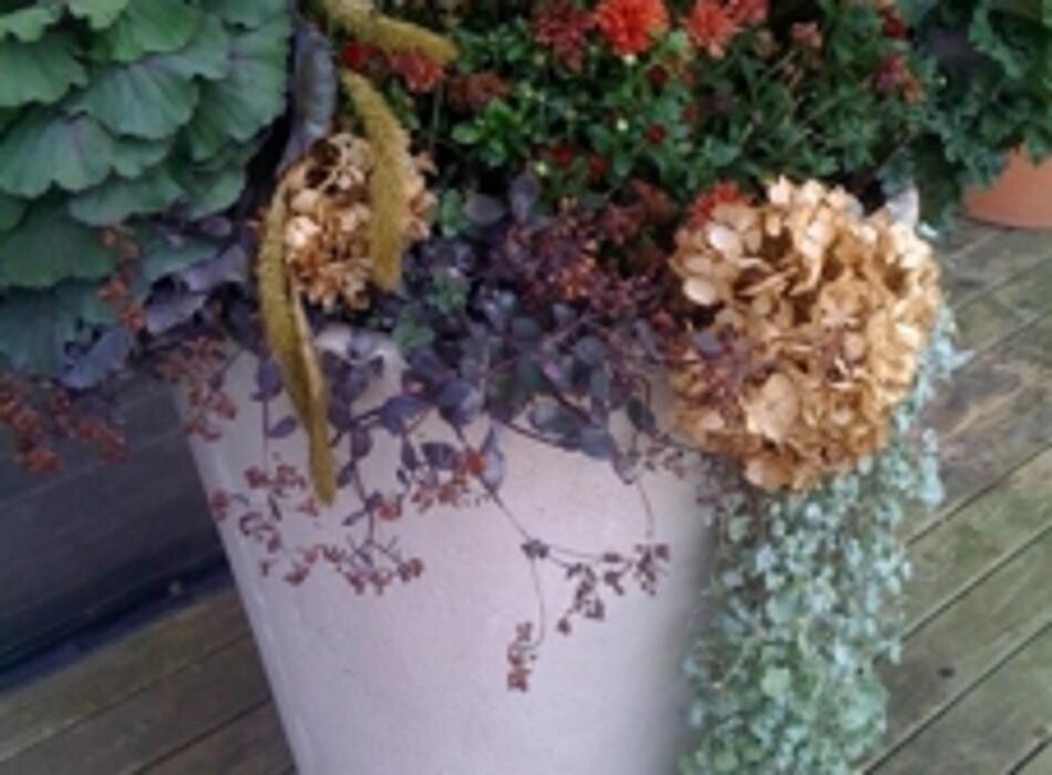 Images Mickey's Lawnscapes Inc