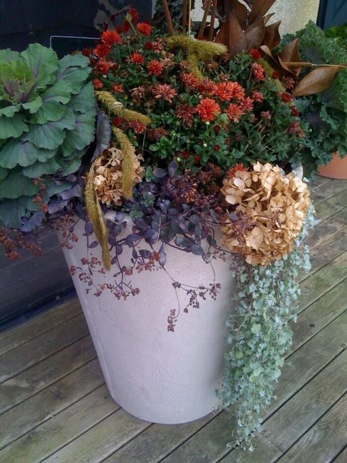 Images Mickey's Lawnscapes Inc