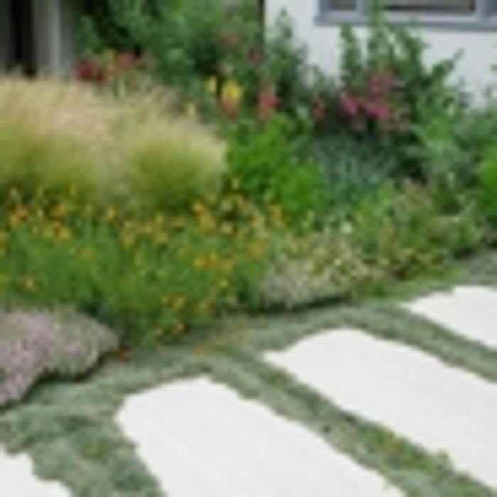 Images Mickey's Lawnscapes Inc