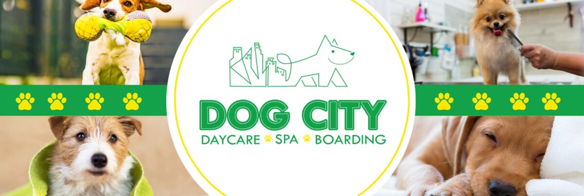 Images Dog City