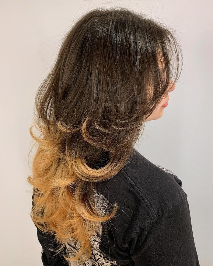 Images Johnny Rodriguez The Salon