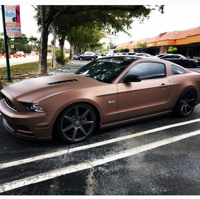 Images Elite Valet