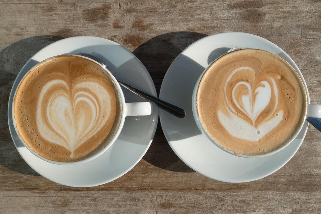 Images The Nest Cafe