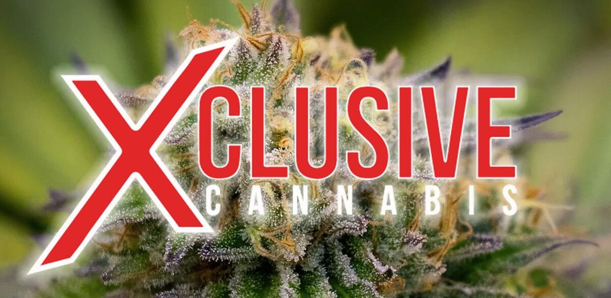 Images Xclusive Cannabis Dispensary
