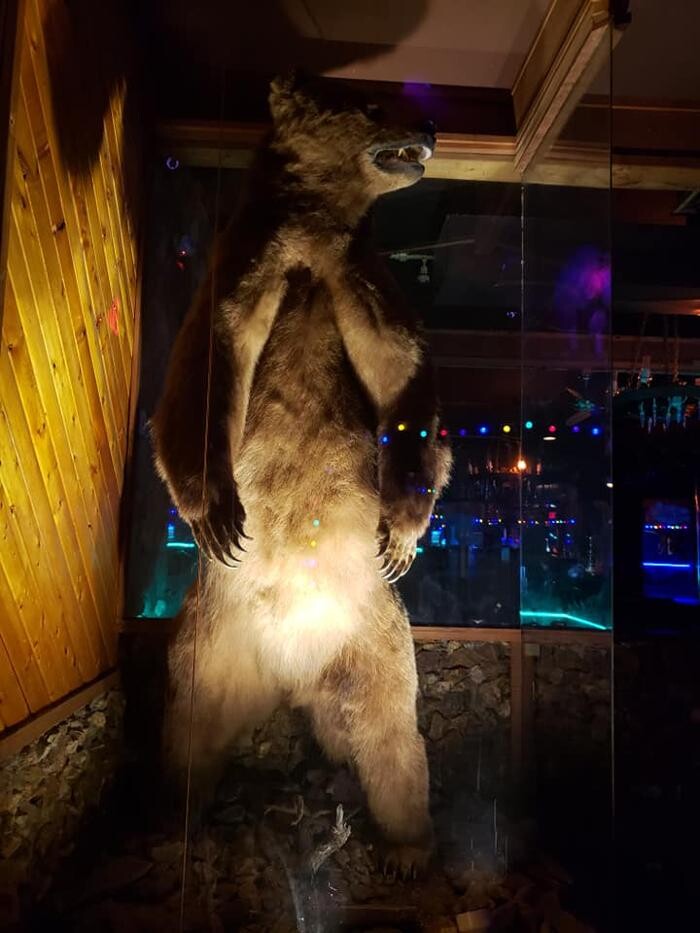 Images The Great Alaskan Bush Co