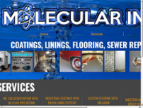 Screenshot for http://www.molecularinc.com/