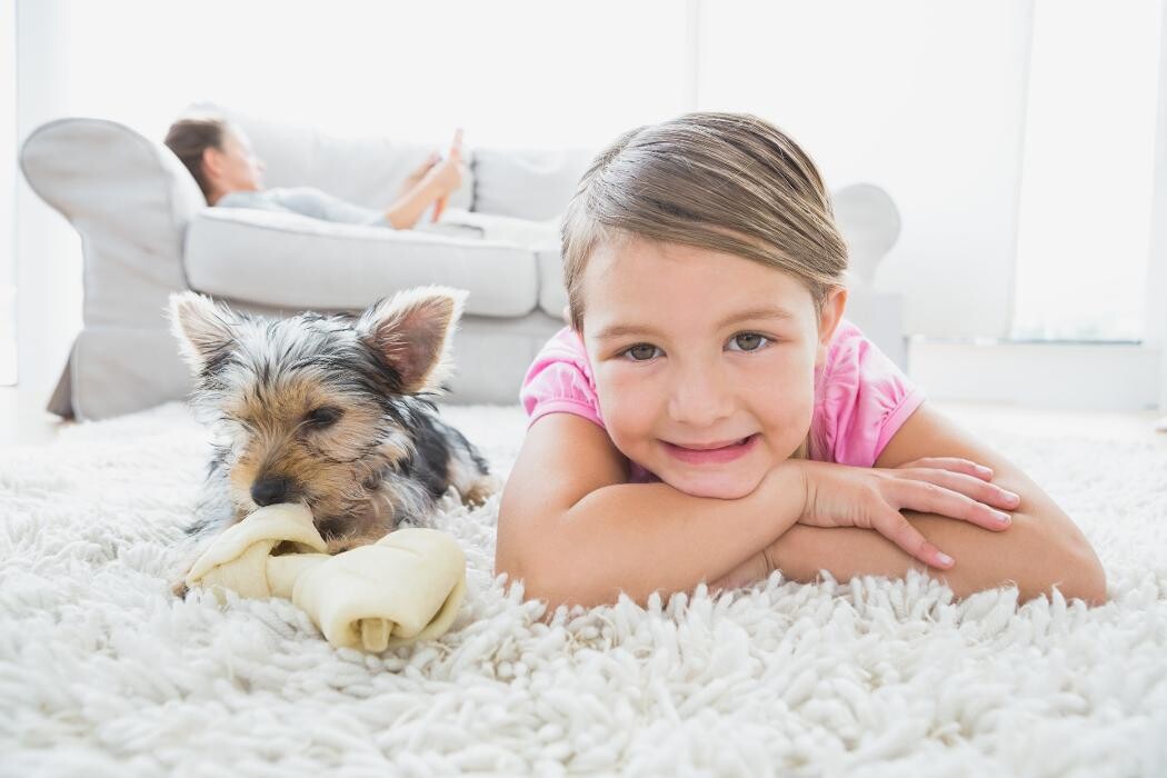 Images Lehigh Rug Service Carpet Cleaning Stretching Installation Area & Oriental Rug Cleaning
