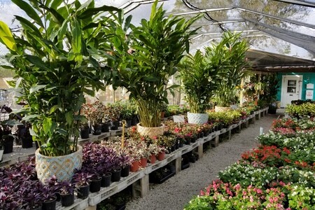 Images A One Stop Garden Shop