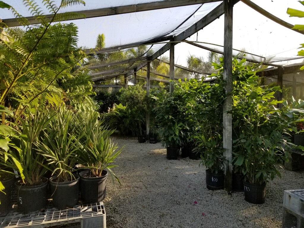 Images A One Stop Garden Shop