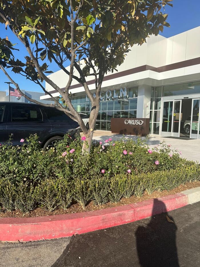 Images Caruso Lincoln