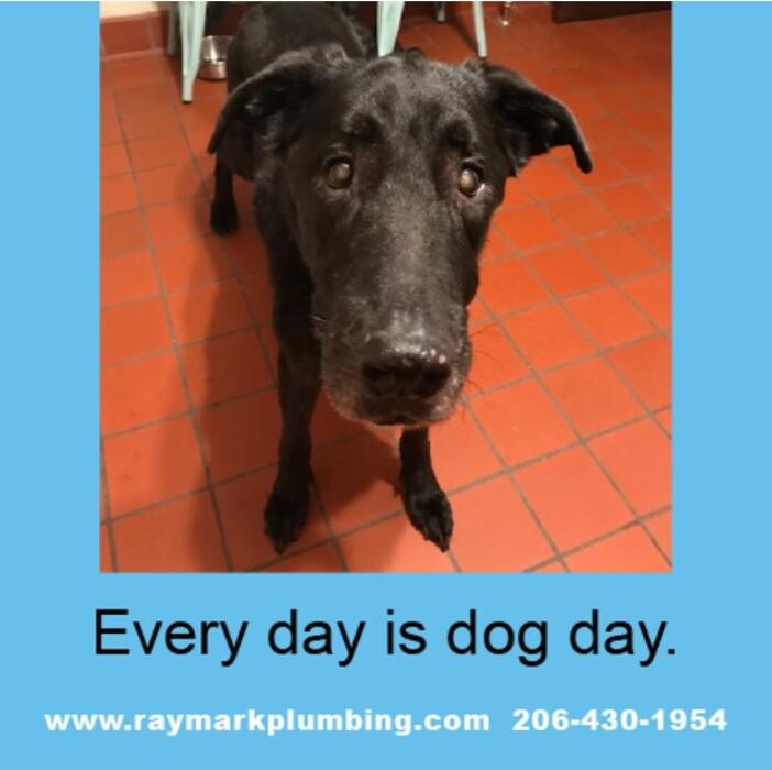 Images Raymark Plumbing & Sewer