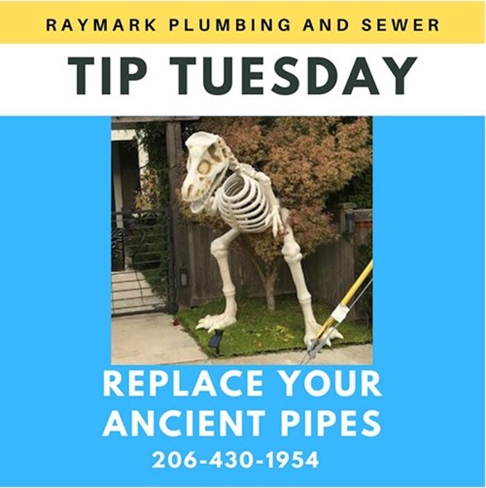 Images Raymark Plumbing & Sewer