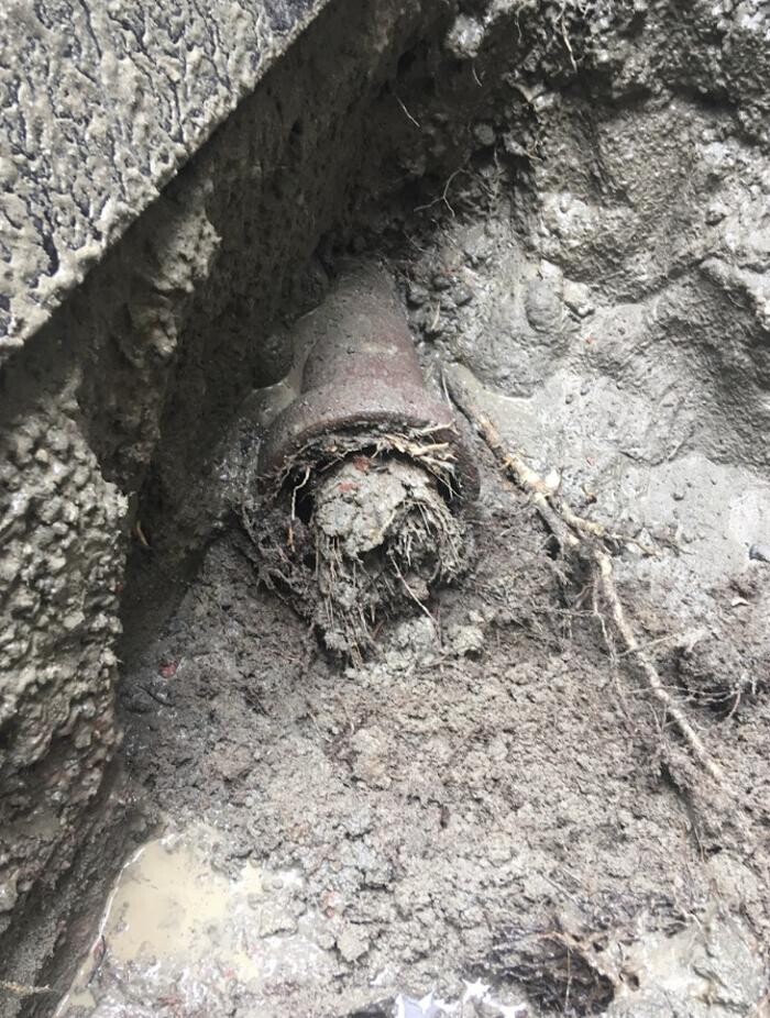 Images Raymark Plumbing & Sewer