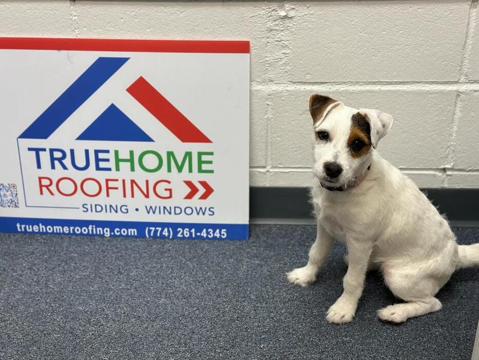 Images TRUEHOME Roofing