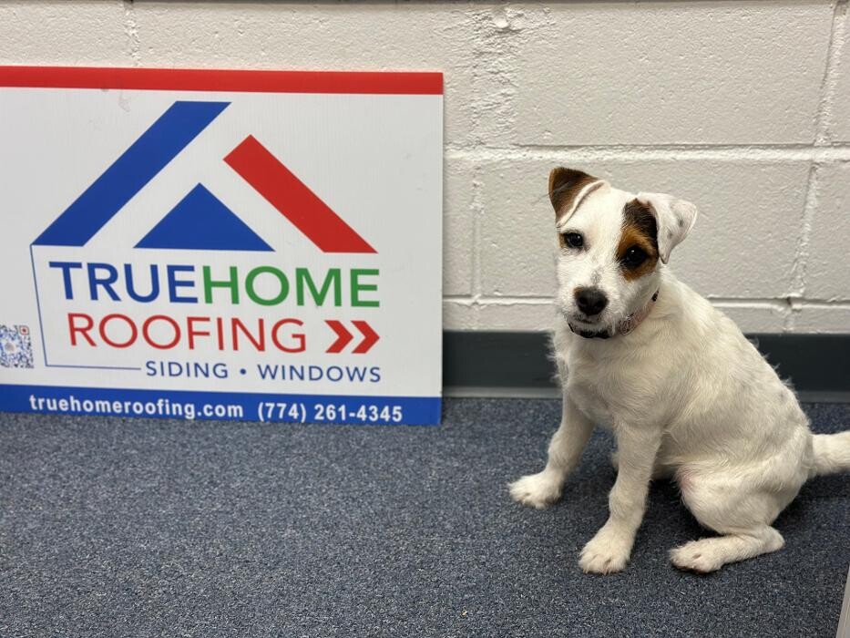 Images TRUEHOME Roofing