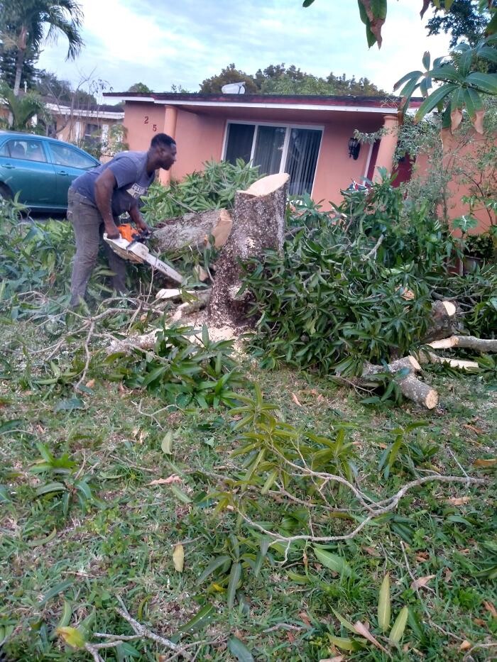 Images Caribbean Tree Service, Inc.