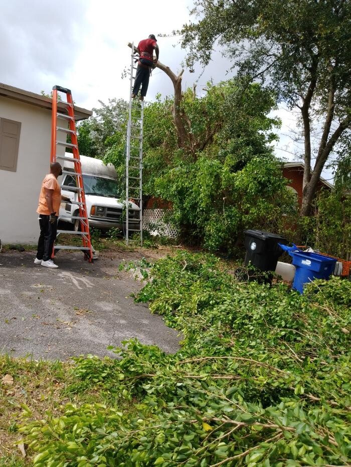 Images Caribbean Tree Service, Inc.