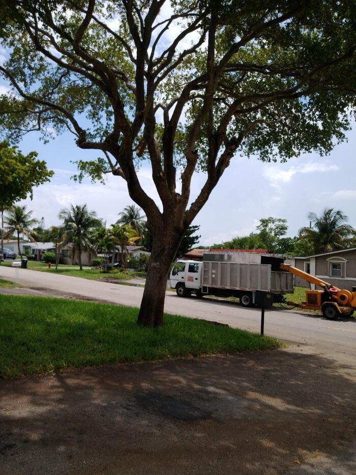 Images Caribbean Tree Service, Inc.