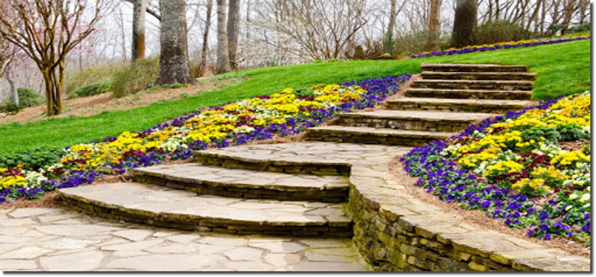 Images Oasis Landscapes & Irrigation, LLC