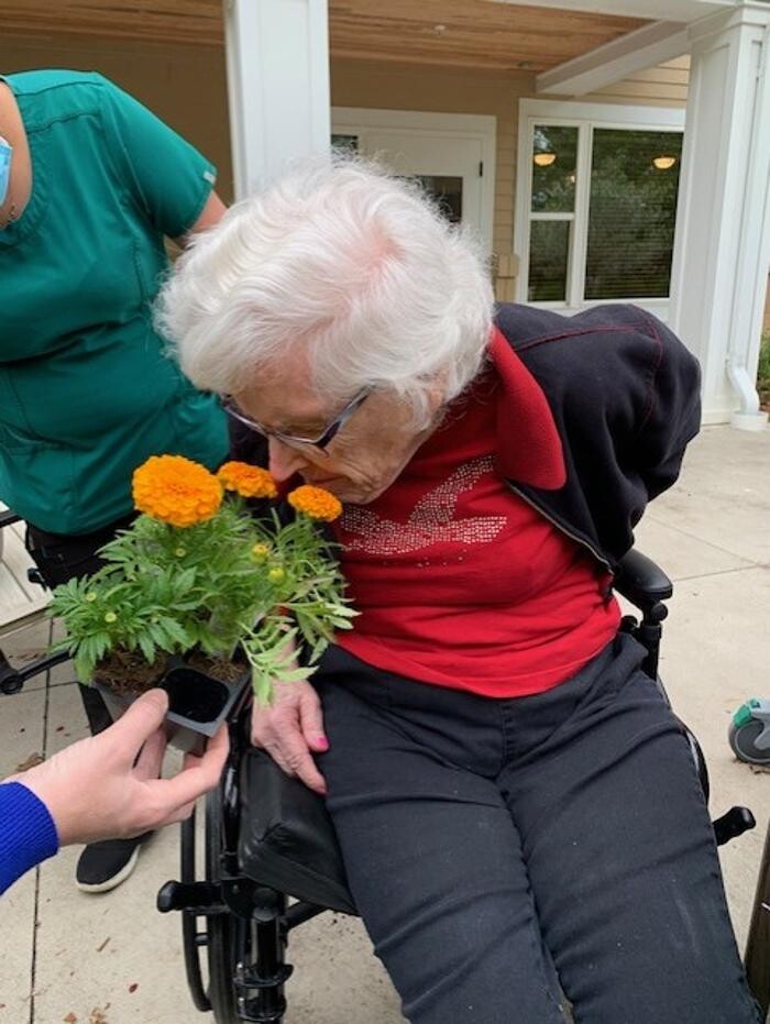 Images Orchards of Minnetonka