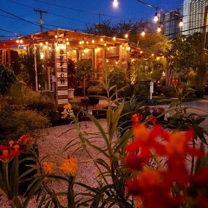 Images Midtown Garden Center