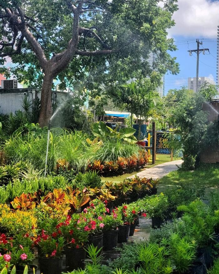 Images Midtown Garden Center