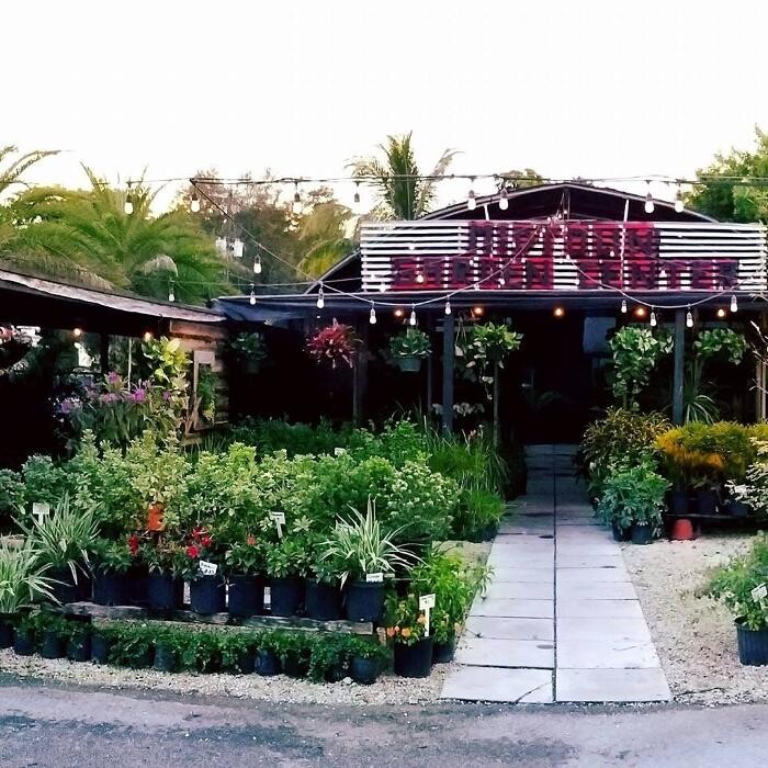 Images Midtown Garden Center
