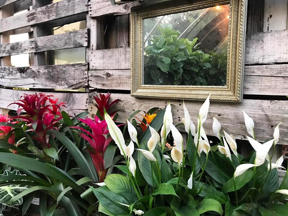 Images Midtown Garden Center
