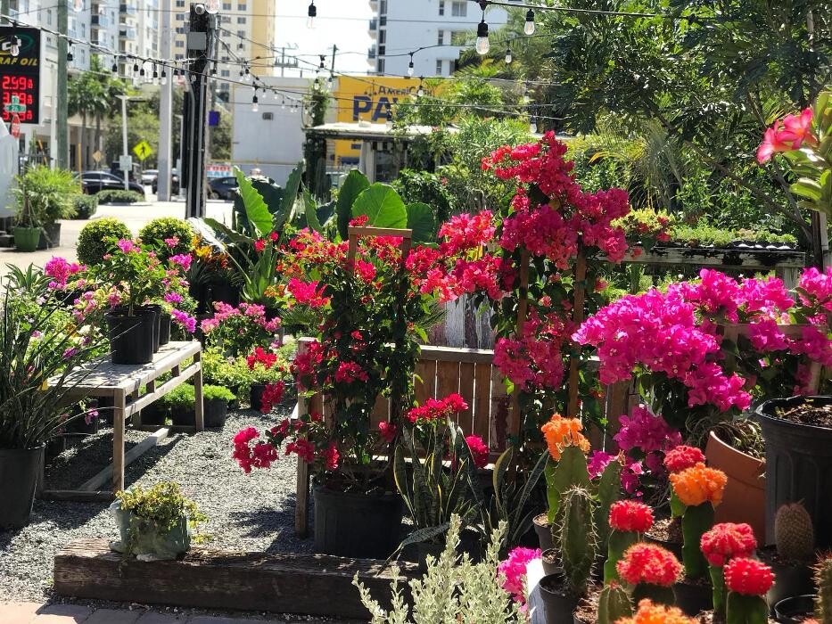 Images Midtown Garden Center