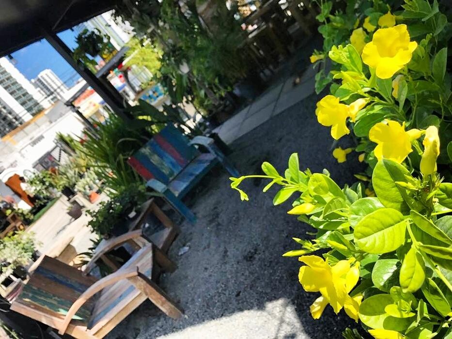 Images Midtown Garden Center