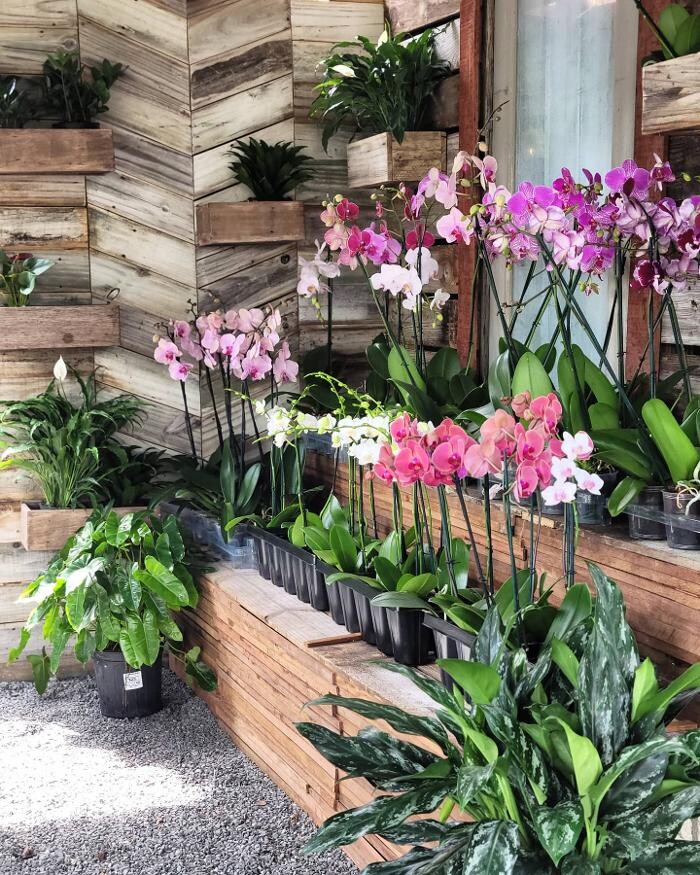 Images Midtown Garden Center