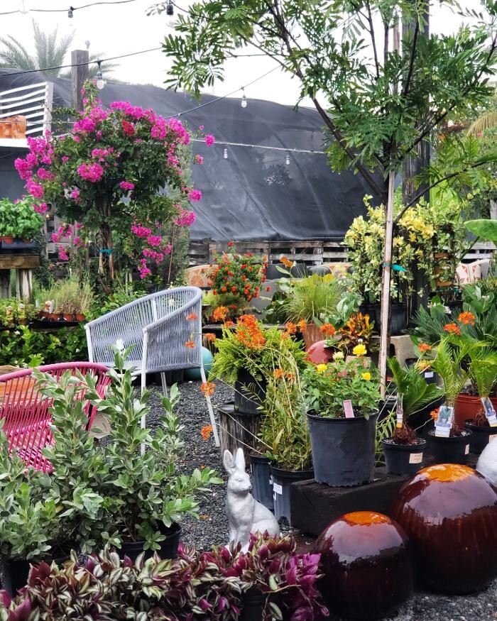 Images Midtown Garden Center