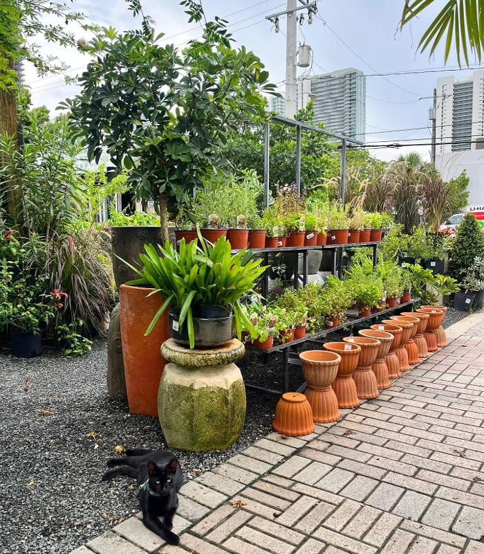 Images Midtown Garden Center