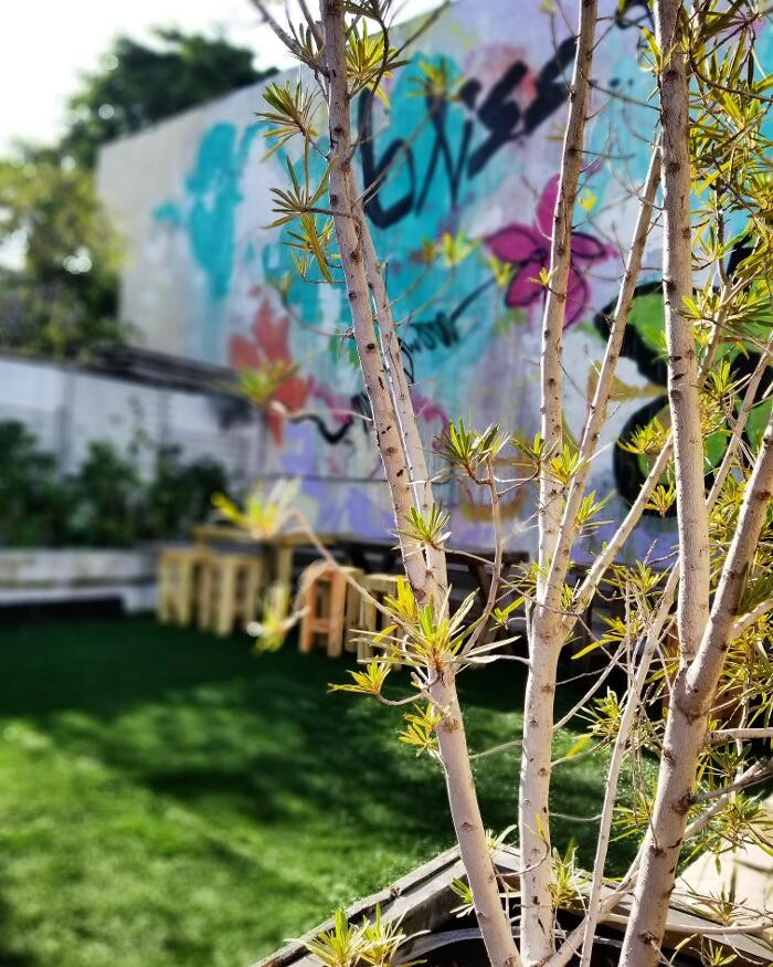 Images Midtown Garden Center