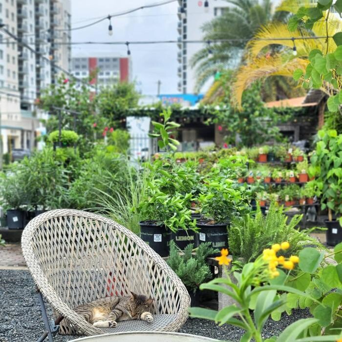 Images Midtown Garden Center