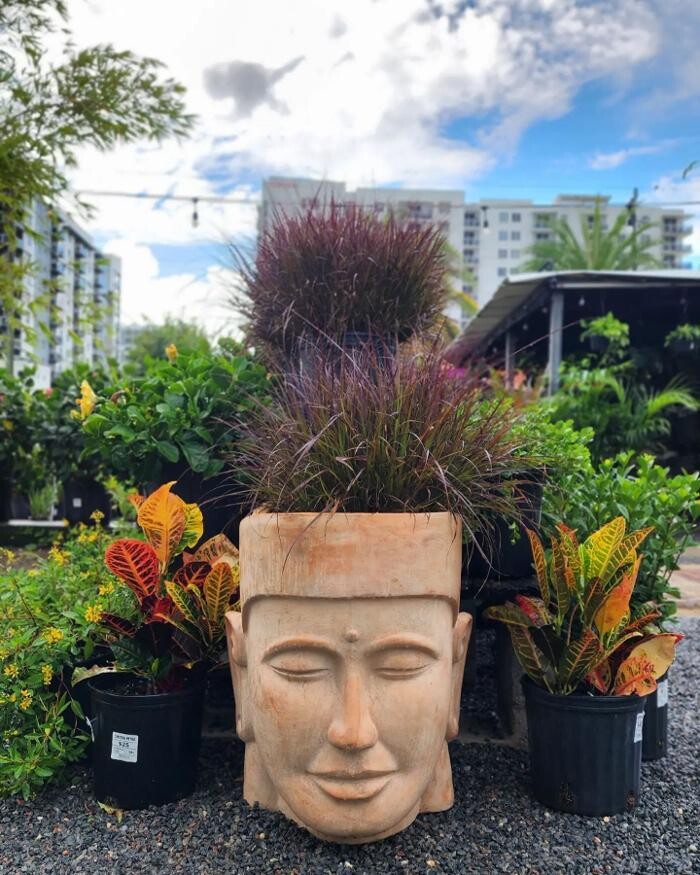 Images Midtown Garden Center
