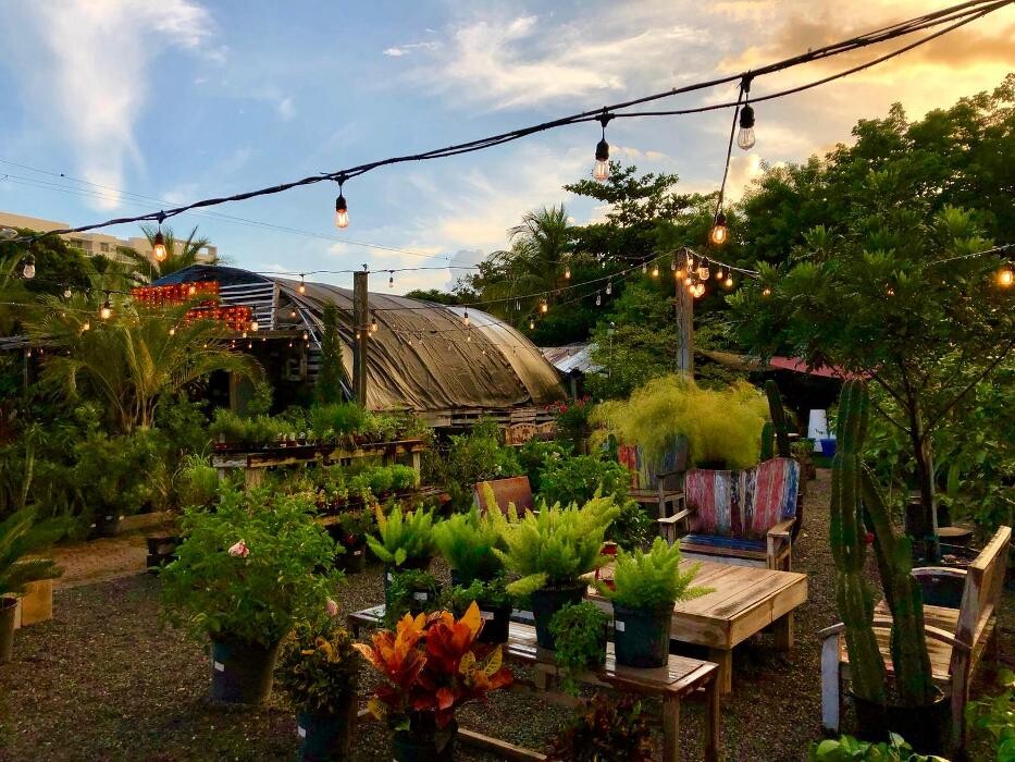 Images Midtown Garden Center